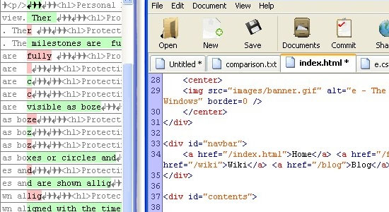 E - TextEditor - screen shot.